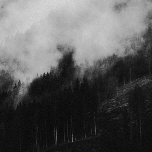 Enslaved Angel : This World Wasn't Made for Ones Like You